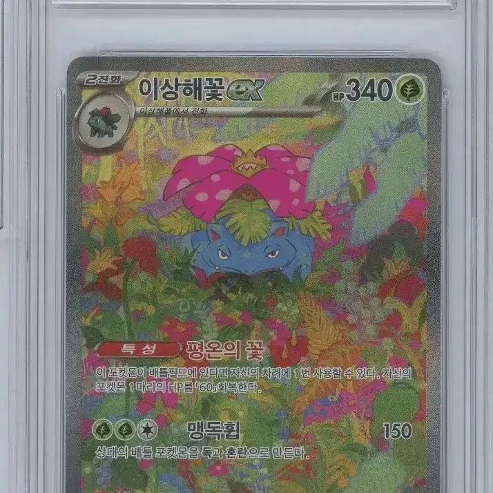 [BUNJANG] Venusaur SAR BRG9 Pokémon Card / 포켓몬카드 이상해꽃 SAR BRG9 팝니다