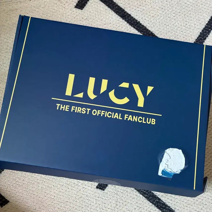 [BUNJANG] LUCY Walwal Club 1st Generation Official Kit Wonsang Badge / LUCY 루시 팬클럽 왈왈이 1기 공식 키트 원상 배지