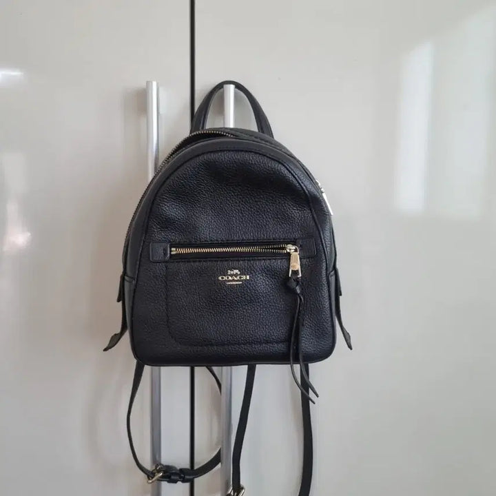 [BUNJANG] Coach Black Leather Mini Backpack / 코치 블랙 가죽 백팩 미니