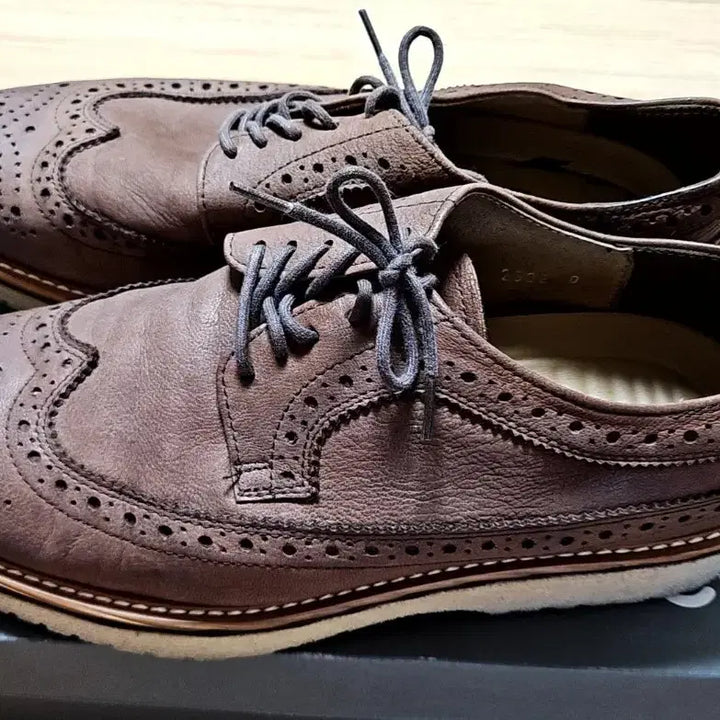 [BUNJANG] MisoPe Brown Wingtip Men&