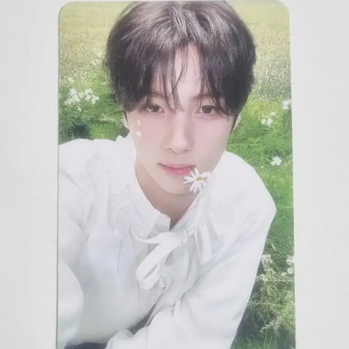 [BUNJANG] TWS 5th Album No Tragedy Youngjae Photocard / 투어스NO TRAGEDY 영재 앨범 포토카드 TWS 5집
