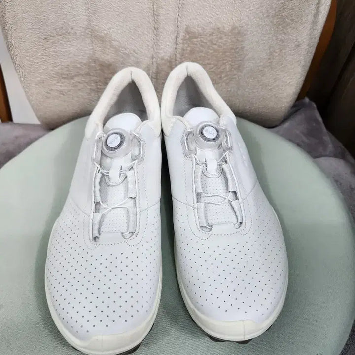 [BUNJANG] ECCO Biom BOA Golf Shoes (255) / 에코 ECCO  BOA  바이옴 (biom) 골프화 255