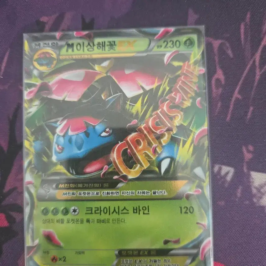 [BUNJANG] Pokemon Card M Venusaur EX / 포켓몬 카드 M이상해꽃 EX