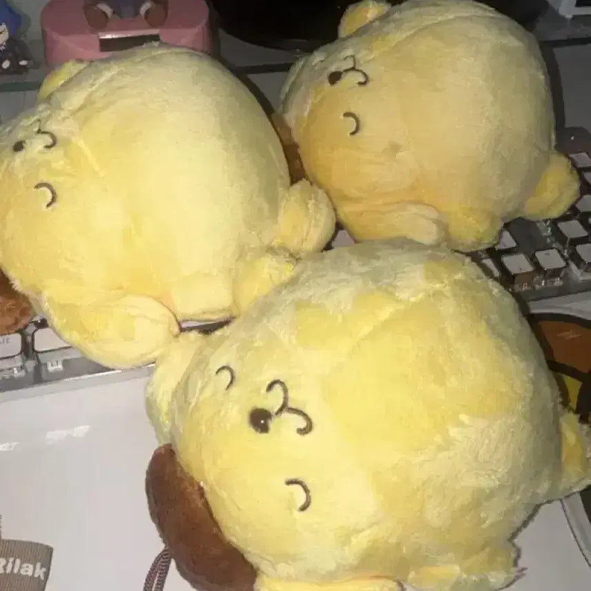 [BUNJANG] Sanrio Pompompurin Plush Pillow / 산리오 밥먹고 누워자는 폼폼푸린 복슬 돼지 푸딩 덩어리 복부비만