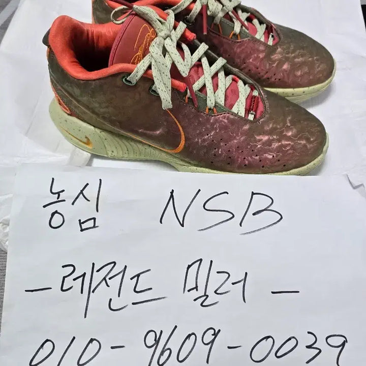 [BUNJANG] Nike LeBron 21 &