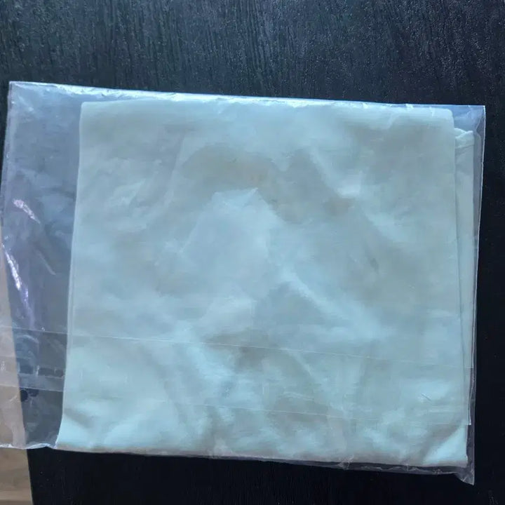 [BUNJANG] AMI Small Heart Mint T-Shirt / 아미 스몰 하트 민트 티셔츠 새상품