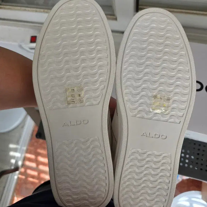 [BUNJANG] Aldo Midcourt White Sneakers (Size 270) / (미사용) 알도 미드코트 화이트 스니커즈 270