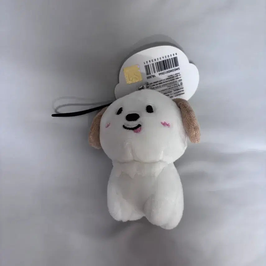 [BUNJANG] 10cm Yeonjun 1st Gen Pouch / 1기 10cm 멍룡이