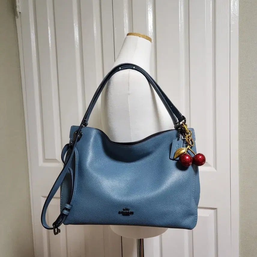 [BUNJANG] Coach Clarkson Hobo Shoulder Bag (Crossbody) / 새거) 코치 클락슨 호보, 숄더백 (크로스백)