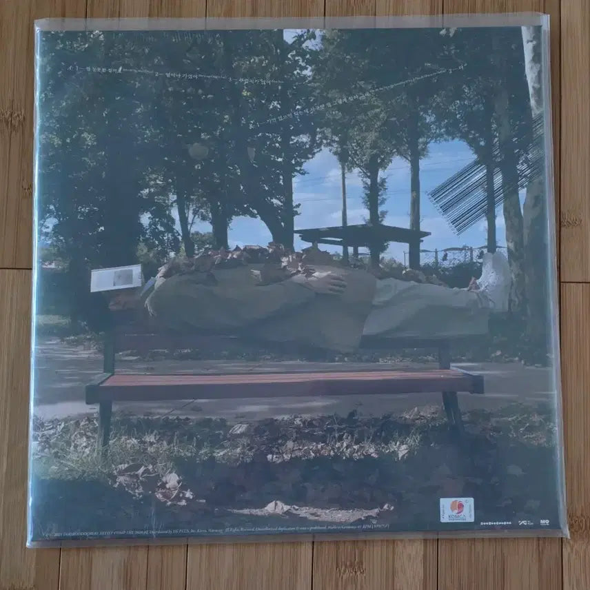 [BUNJANG] Jang Kiha LP / 장기하LP