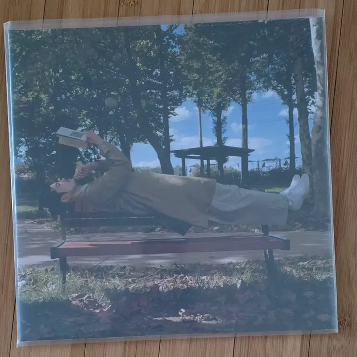 [BUNJANG] Jang Kiha LP / 장기하LP