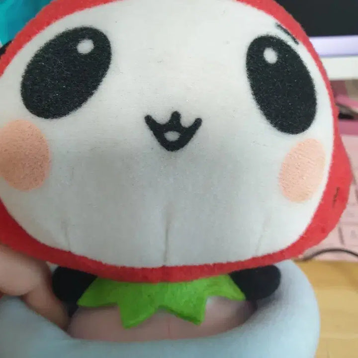 [BUNJANG] Ami Panda Ichigo Panda Doll / 아미판다 이치고판다 인형 판매합니다!
