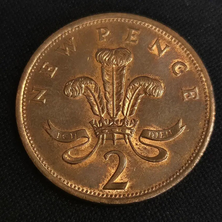[BUNJANG] 1980 United Kingdom 2 Pence Coin / 1980년 영국 2펜스 동전[EP. 2779]