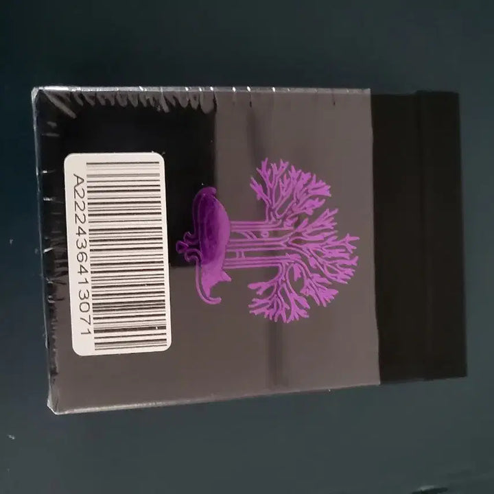 [BUNJANG] Filtre Schrödinger / 필트레 슈뢰딩거
