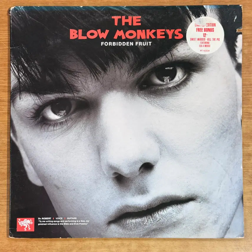 [BUNJANG] Blow Monkeys Forbidden Fruit 2LP Vinyl Record / 영국 2LP) Blow Monkeys - Forbidden Fruit