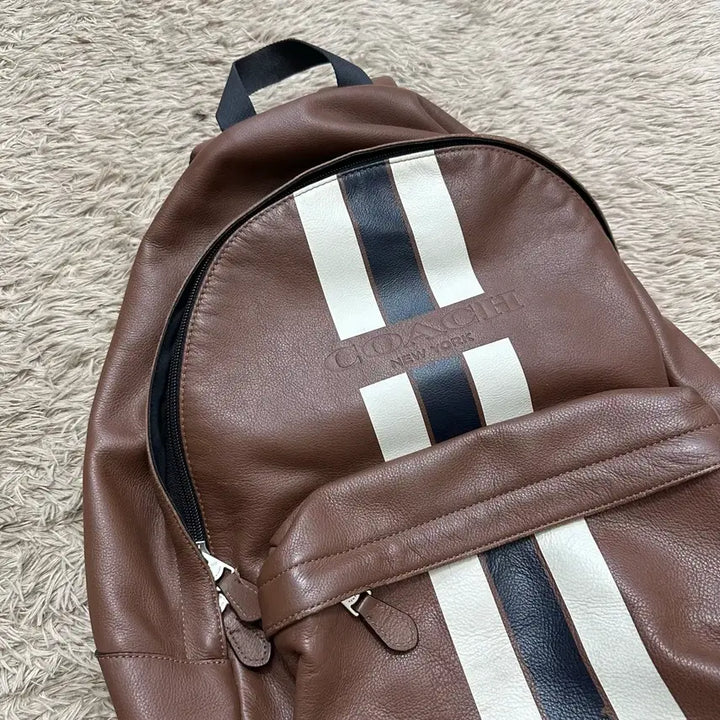 [BUNJANG] Coach Brown Leather Stripe Backpack / 코치 브라운 가죽 백팩 스트라이프