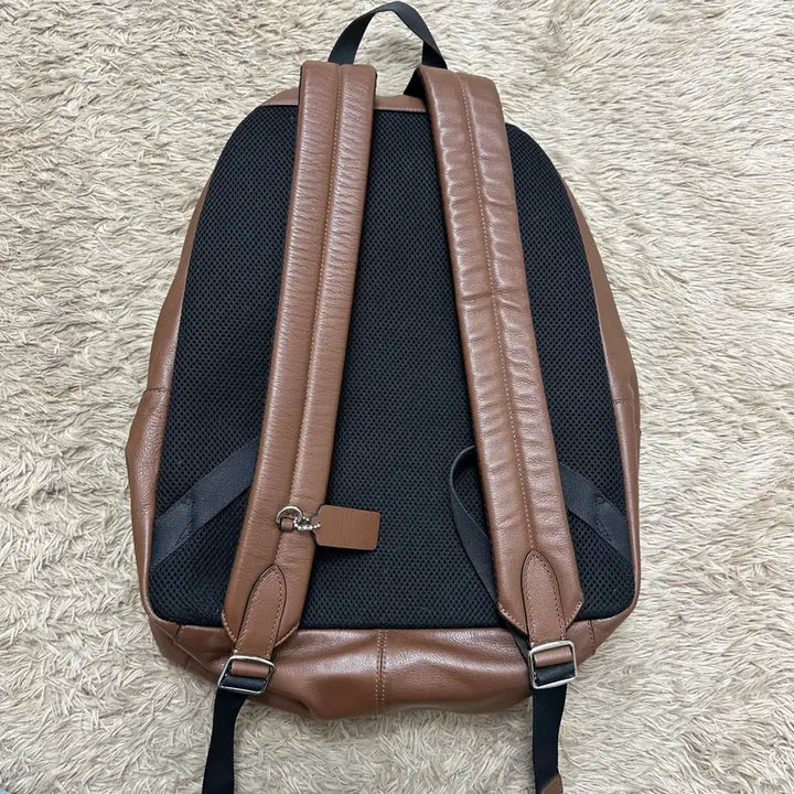 [BUNJANG] Coach Brown Leather Stripe Backpack / 코치 브라운 가죽 백팩 스트라이프