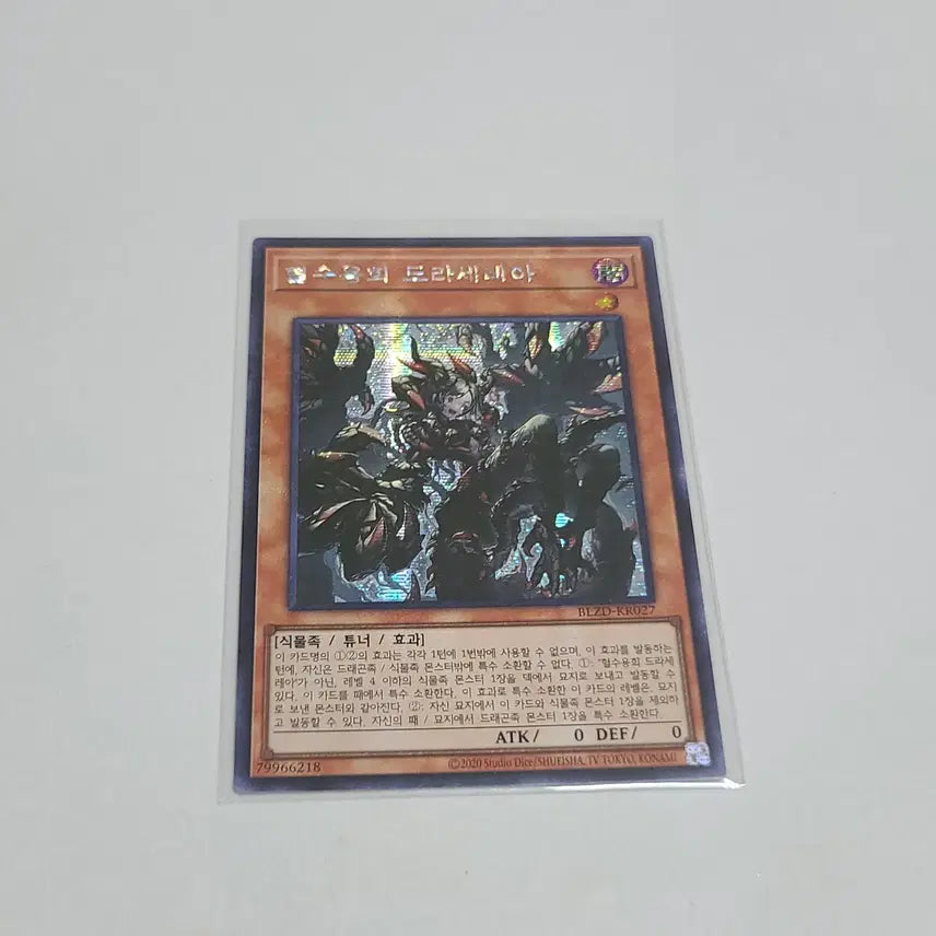 [BUNJANG] Yu-Gi-Oh! Blood Tortoise Dracoserpent Secret Rare / 유희왕 혈수용희 드라세레아 시크