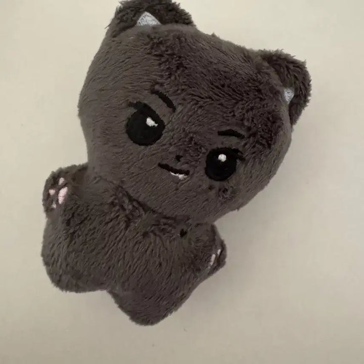 [BUNJANG] ENHYPEN Jay Park Jongseong Plush Doll &