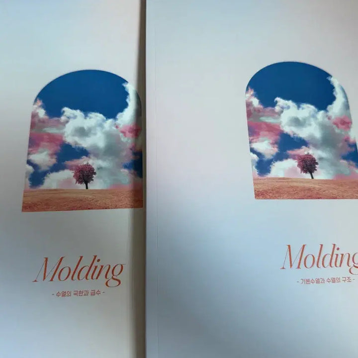 [BUNJANG] Modern Talent Choi Ji-wook Lecture Material Bundle / 2027 시대인재 최지욱t 몰딩 일괄