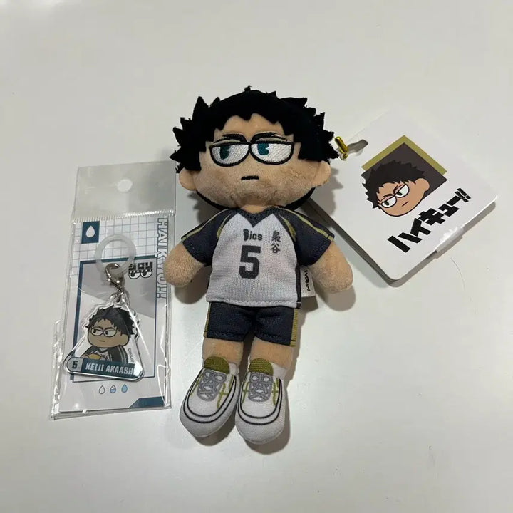 [BUNJANG] Haikyuu!! Akaashi Keiji Jirori Doll Mezurushi / 새상품) 하이큐 아카아시 지로리 인형 메지루시