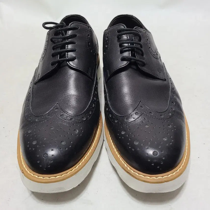 [BUNJANG] MISOFE Wingtip Casual Shoes - Size 260 / 260) 미소페 윙팁 캐쥬얼구두
