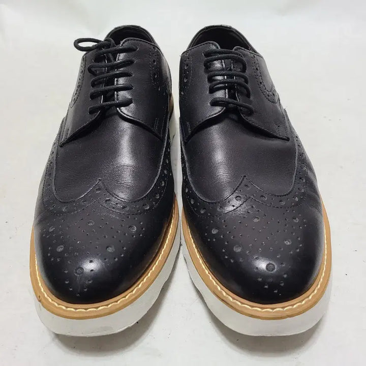 [BUNJANG] MISOFE Wingtip Casual Shoes - Size 260 / 260) 미소페 윙팁 캐쥬얼구두