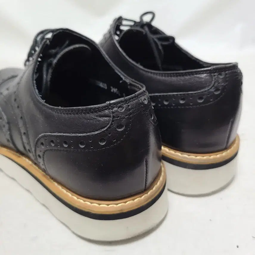 [BUNJANG] MISOFE Wingtip Casual Shoes - Size 260 / 260) 미소페 윙팁 캐쥬얼구두