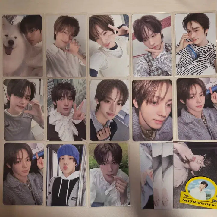 [BUNJANG] TWS Bundle Set POB Photocard - Shinyu, Dohoon, Youngwoong, Han Gyejin, Jihoon, Kyeongmin / [일괄] 투어스 포카 포토카드 신유 도훈 영재 한진 지훈 경민