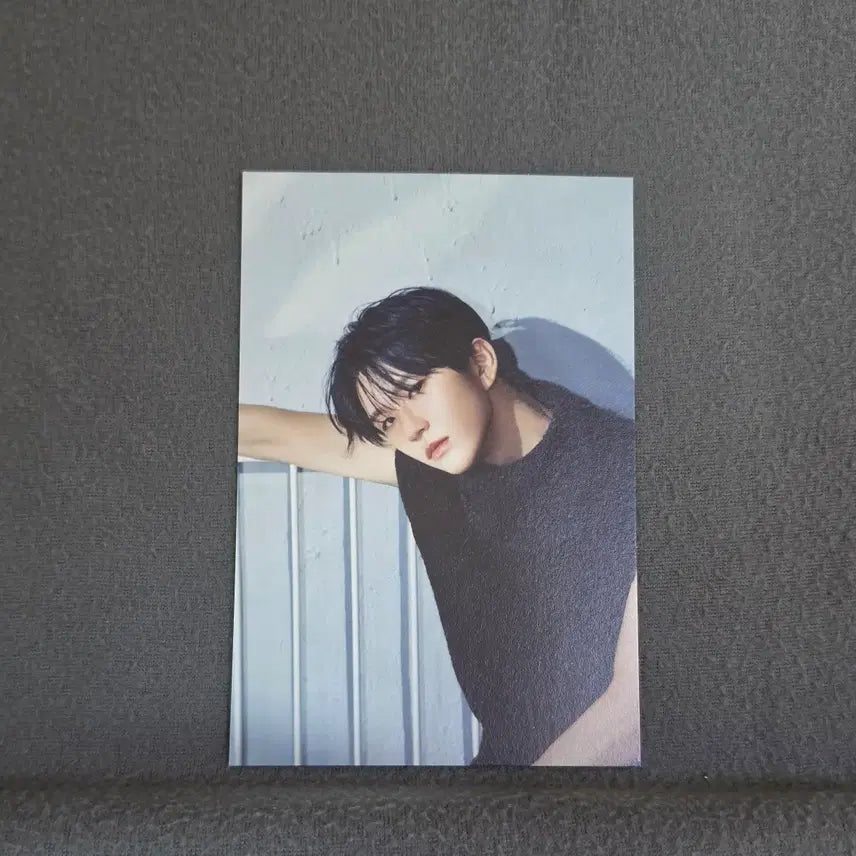 [BUNJANG] NCT WISH Jaehee Odd To Love Anteros Package Postcard / 엔시티 위시 재희 오드투러브 안테로스 패키지 엽서