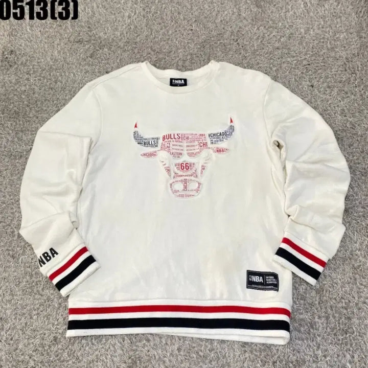 [BUNJANG] NBA Sweatshirt / NBA 맨투맨