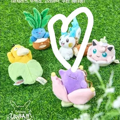[BUNJANG] Pokemon Forest Mascot Pachirisu Plush / 포켓몬 포레스트 마스코트 파치리스