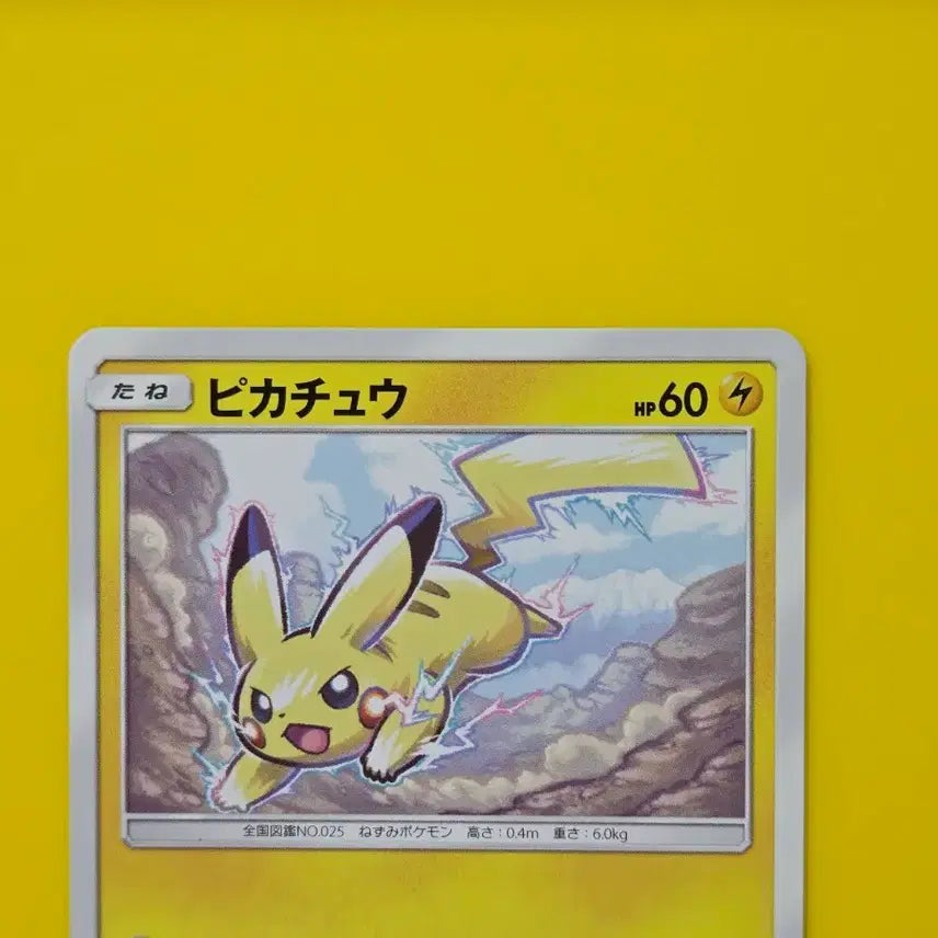 [BUNJANG] Pokemon Card Pikachu Darkness that Yearns for Light Japanese Edition / 포켓몬카드 피카츄 빛을그리워하는어둠 일판 일본판