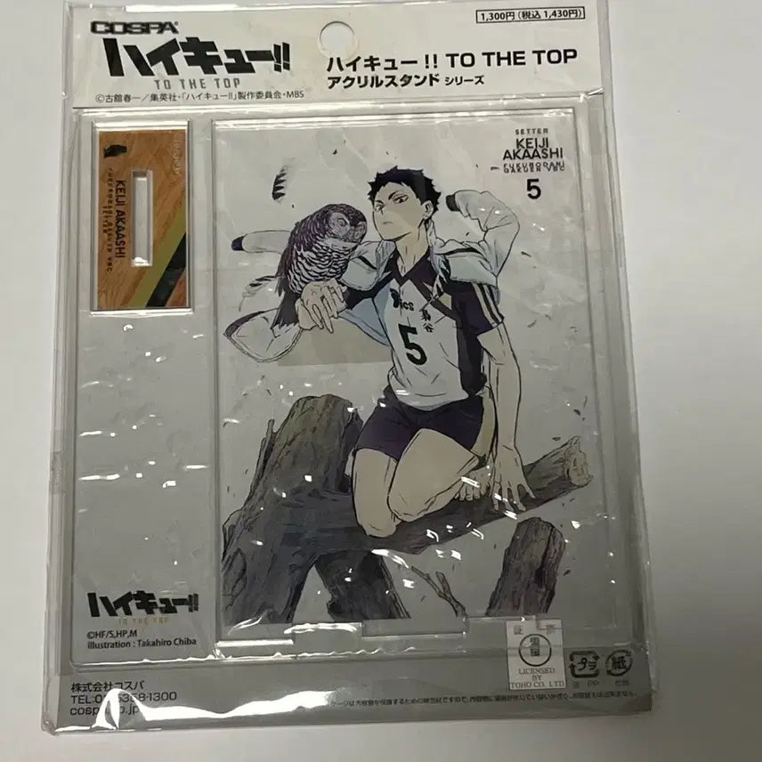 [BUNJANG] Haikyuu Akaashi Barefoot Acrylic Stand / 하이큐 아카아시 맨발 아크릴
