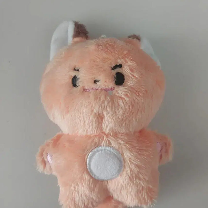 [BUNJANG] Joonkongi Plush / 쭌콩이