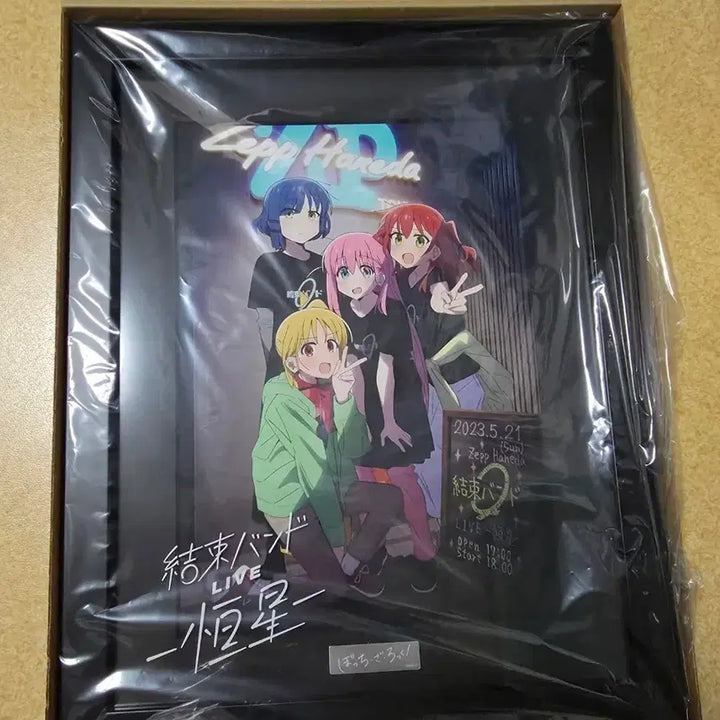 [BUNJANG] Bocchi the Rock! Hitori Gotoh Starry Graph Framed Print / 봇치더락 항성 파인그래프 액자