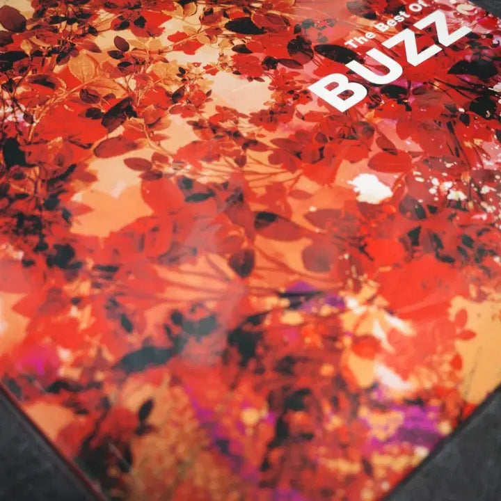 [BUNJANG] Buzz LP (Unsealed) / 버즈 LP
