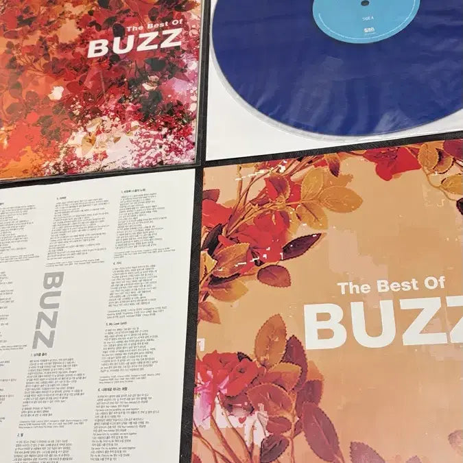 [BUNJANG] Buzz LP (Unsealed) / 버즈 LP