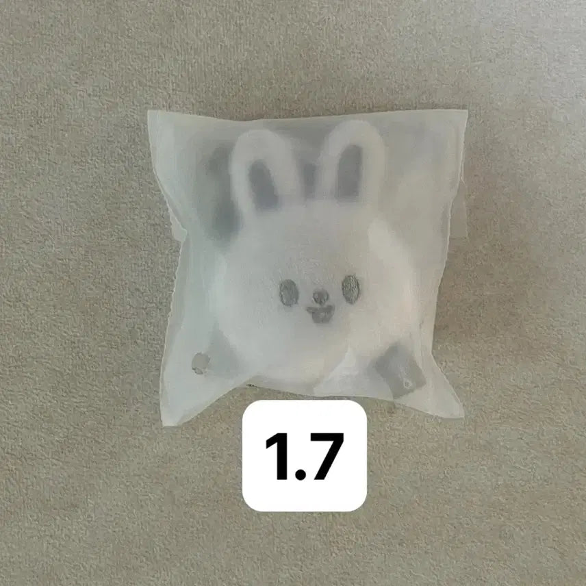 [BUNJANG] Stray Kids SKZOO Silver Keyring LeeKnow Ribbit MD / 스키즈 스키주 실버키링 리빗 리노 엠디 양도