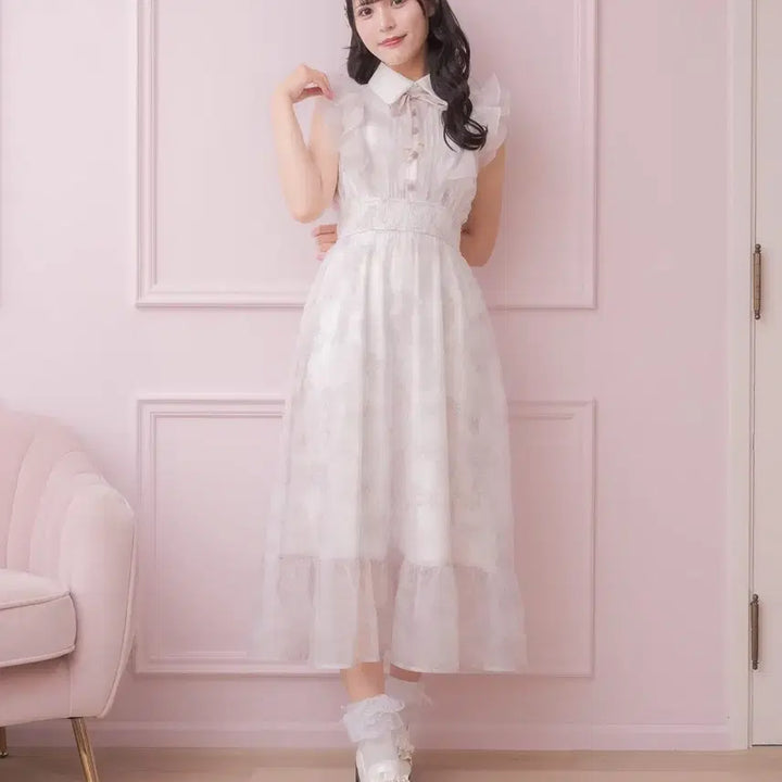 [BUNJANG] ROJITA Frill Sleeve Long Dress / 로지타 ROJITA 일브 지뢰계 양산계 스나계 프릴 슬리브 롱 원피스