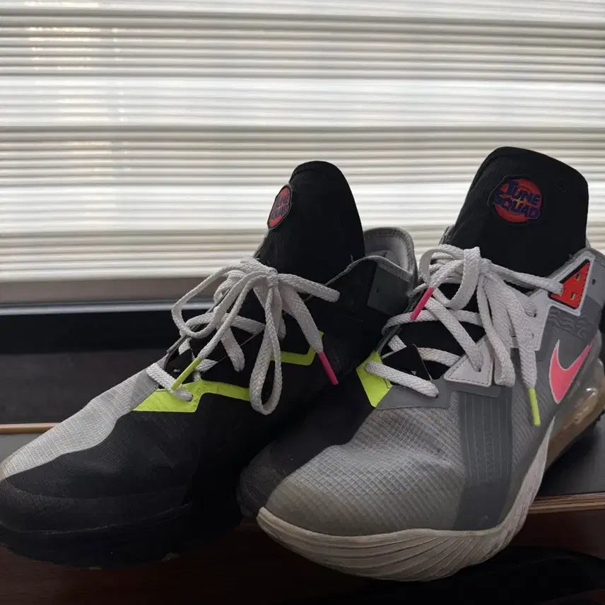 [BUNJANG] Nike LeBron x Space Jam: A New Legacy Sneakers / 나이키 르브론 루니툰