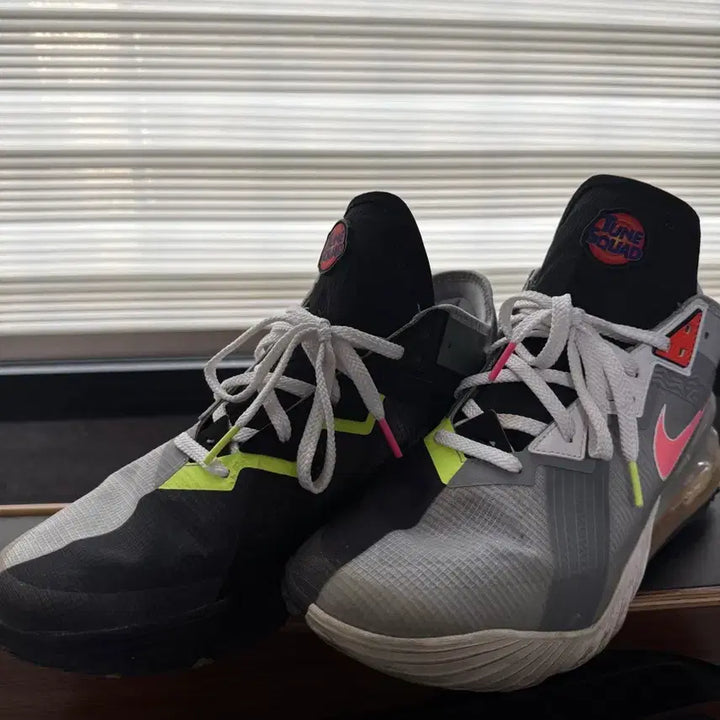 [BUNJANG] Nike LeBron x Space Jam: A New Legacy Sneakers / 나이키 르브론 루니툰