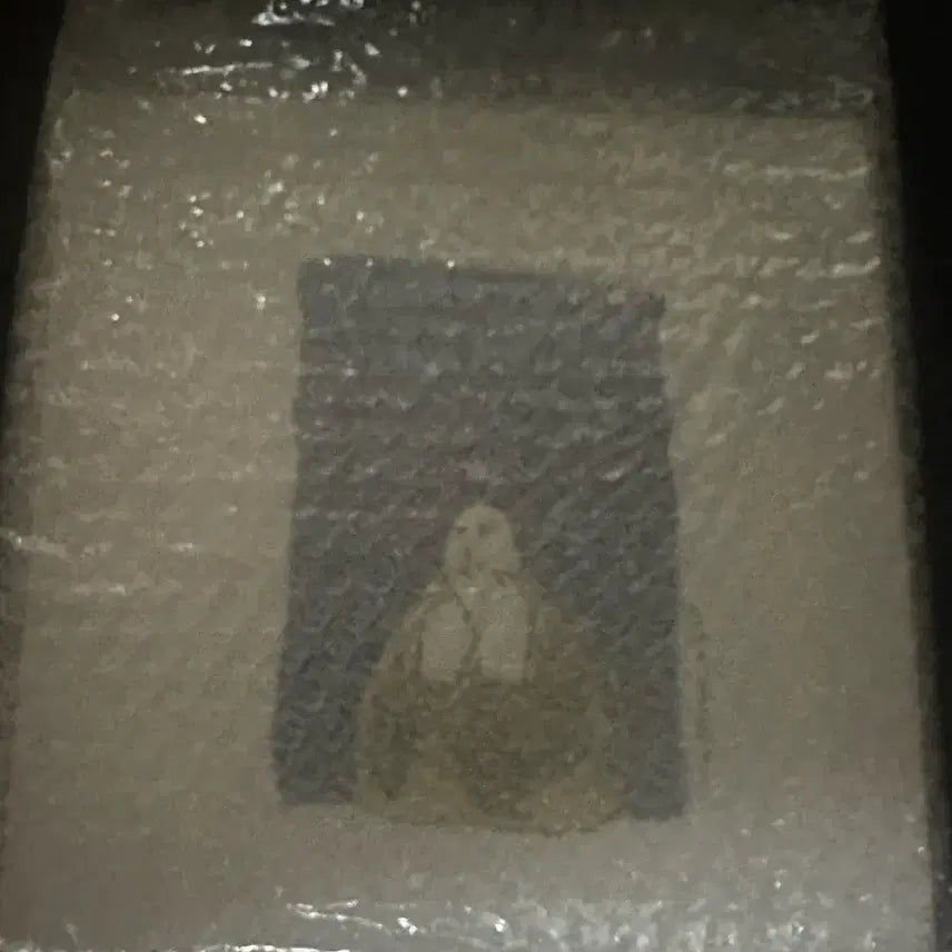 [BUNJANG] Jannabi Sogokjip Album / 잔나비 소곡집