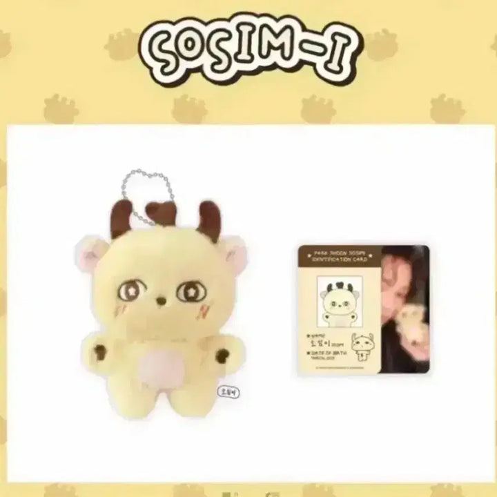 [BUNJANG] Park Ji Hoon "So Sim Yi" Sealed Photocard Set / 박지훈 소심이 미개봉 양도 워너원왕사남포카팬콘콘서트우치와슬로건사녹각본집