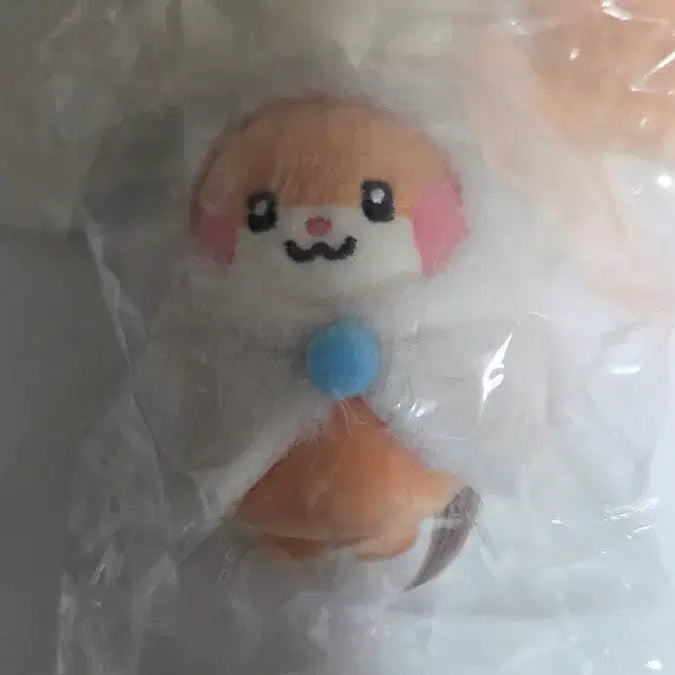 [SOLD OUT] 제베원 원더랜드 비니니