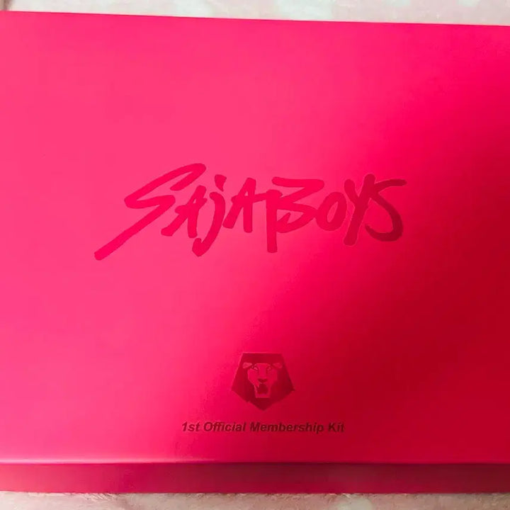 [BUNJANG] KDEHun Boyz Membership Kit / 케데헌 사자보이즈 멤버쉽 키트