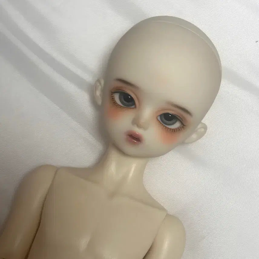 [BUNJANG] Sweet Gale Hoya (Whitening) Doll / 스윗게일 호야 본체 판매