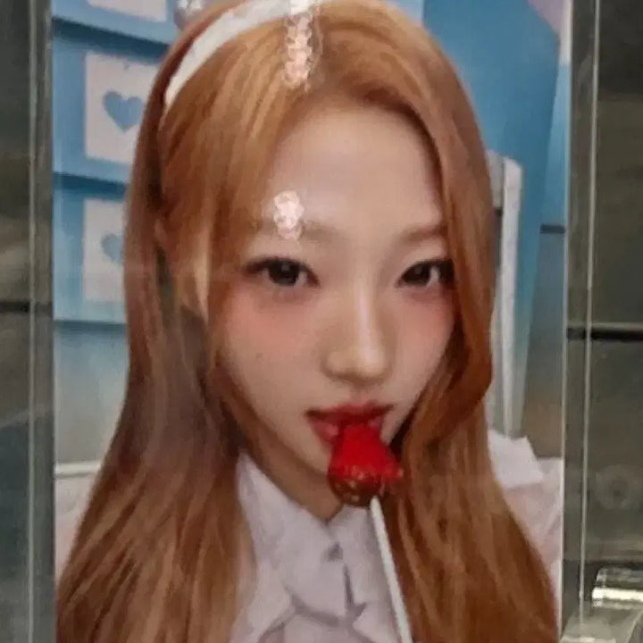 [BUNJANG] H2H 1st Anniversary MD Lil Holder Photocard / 하투하 하츠투하츠 1주년 엠디 릴홀더 포카 양도 판매 md h2h