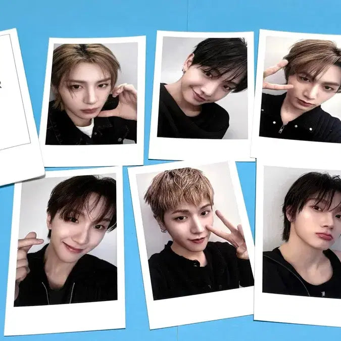 [BUNJANG] BOYNEXTDOOR Dr.G Polaroid POB Bundle Set / (급처)BOYNEXTDOOR 닥터지 폴라로이드 특전