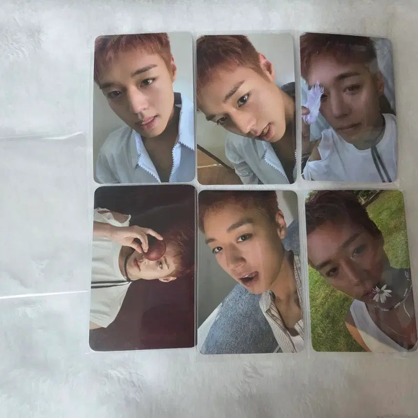 [BUNJANG] Park Ji Hoon Reflect Album Bundle Set Photocard / 박지훈 리플렉트 앨범포카 일괄양도